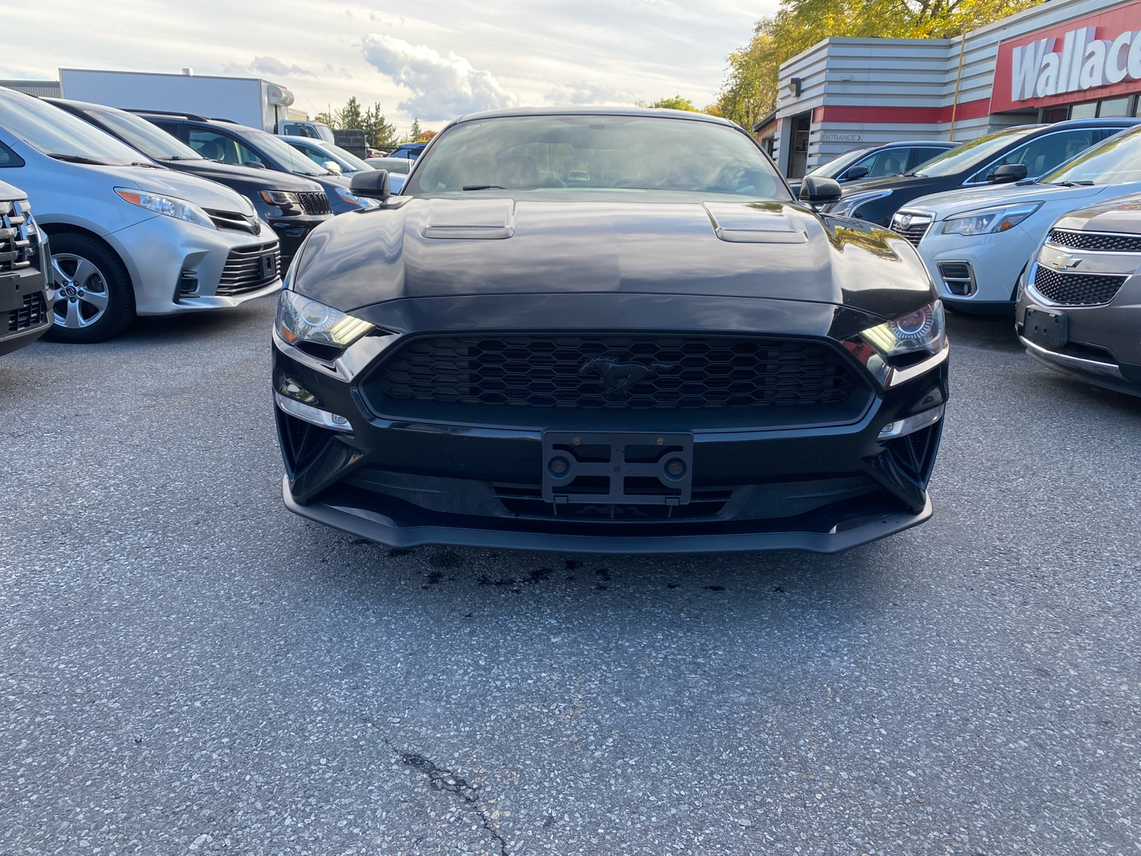 Ford Mustang