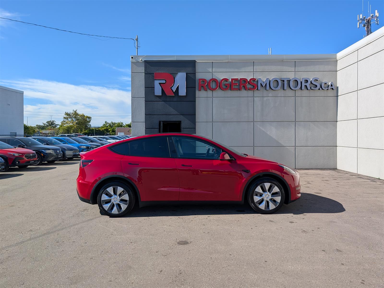 Tesla MODEL Y