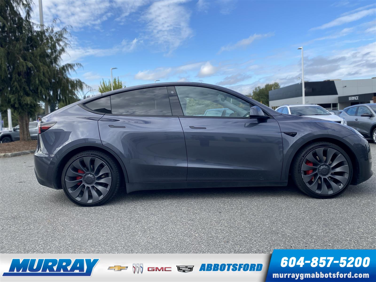 Tesla MODEL Y