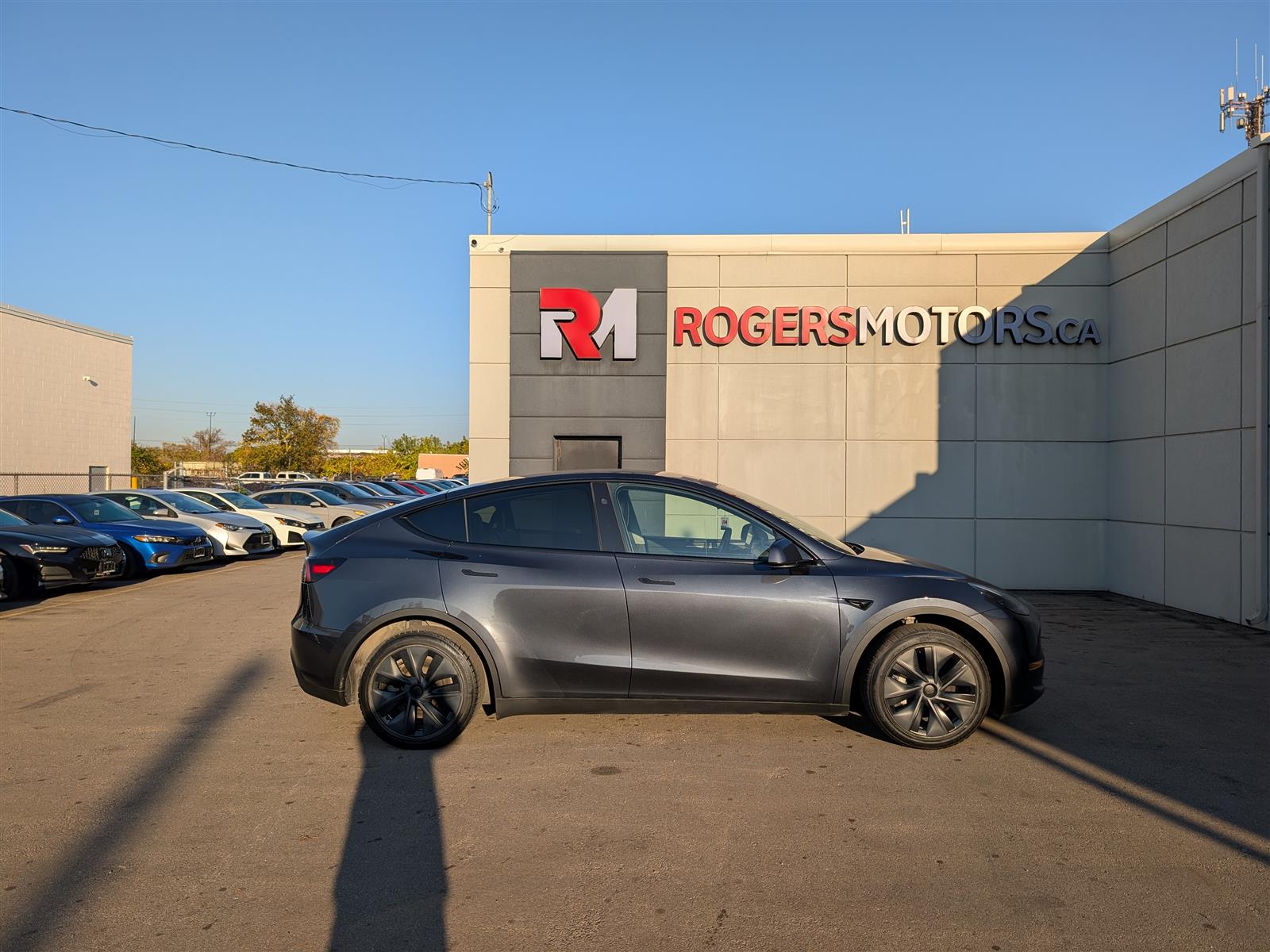 Tesla MODEL Y
