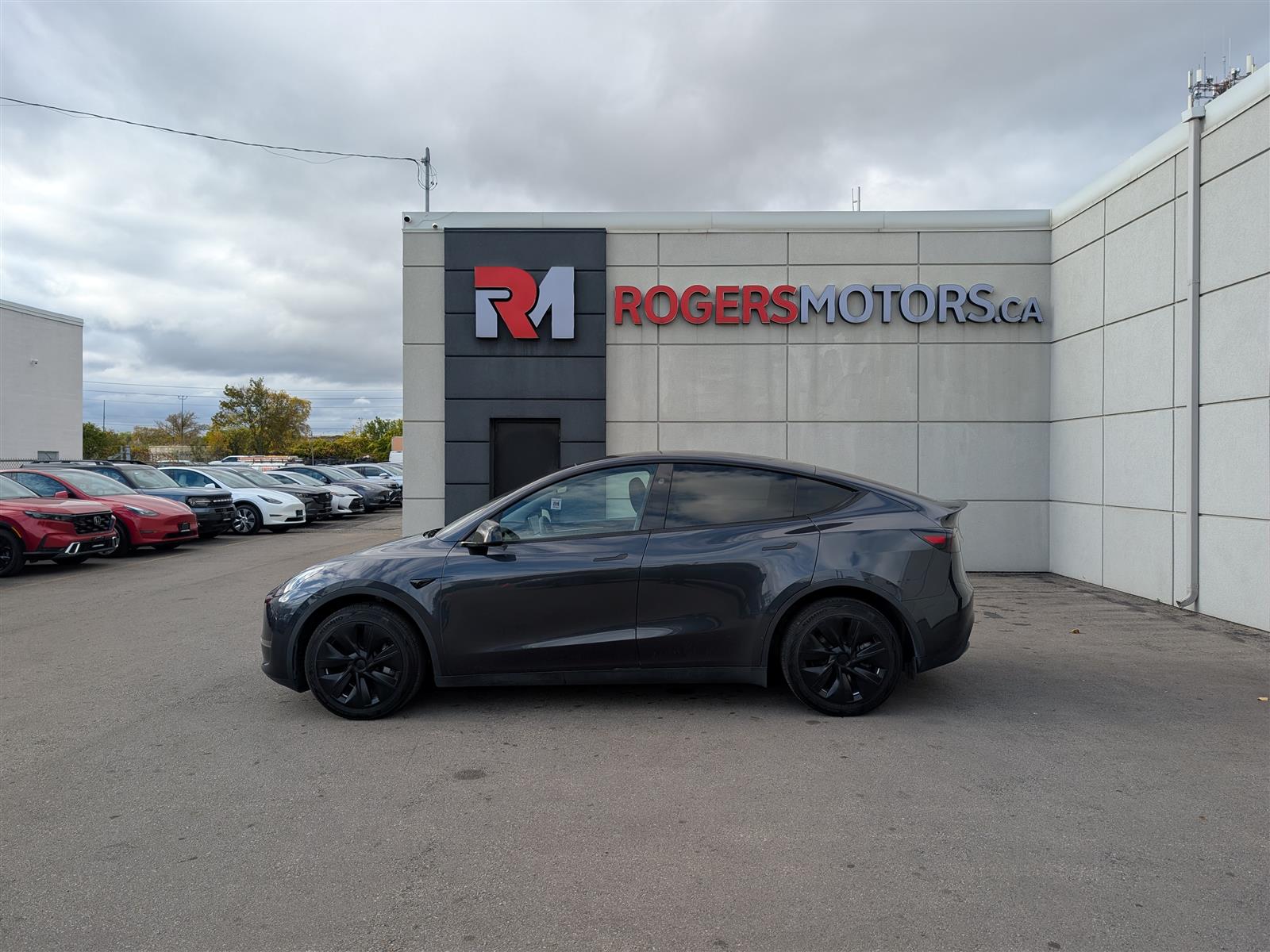 Tesla MODEL Y