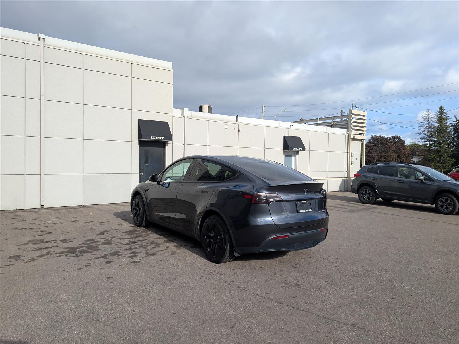 Tesla MODEL Y