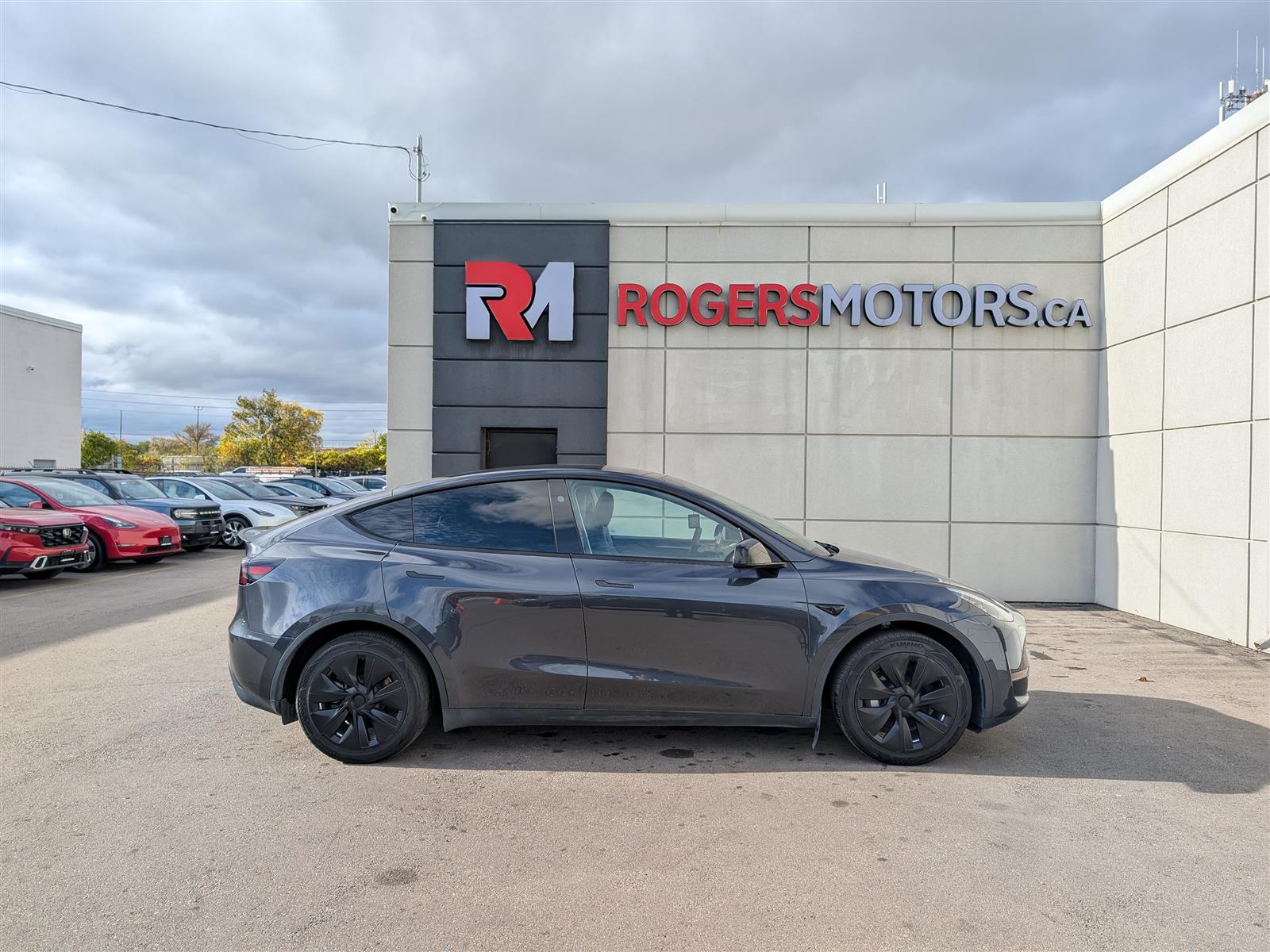 Tesla MODEL Y