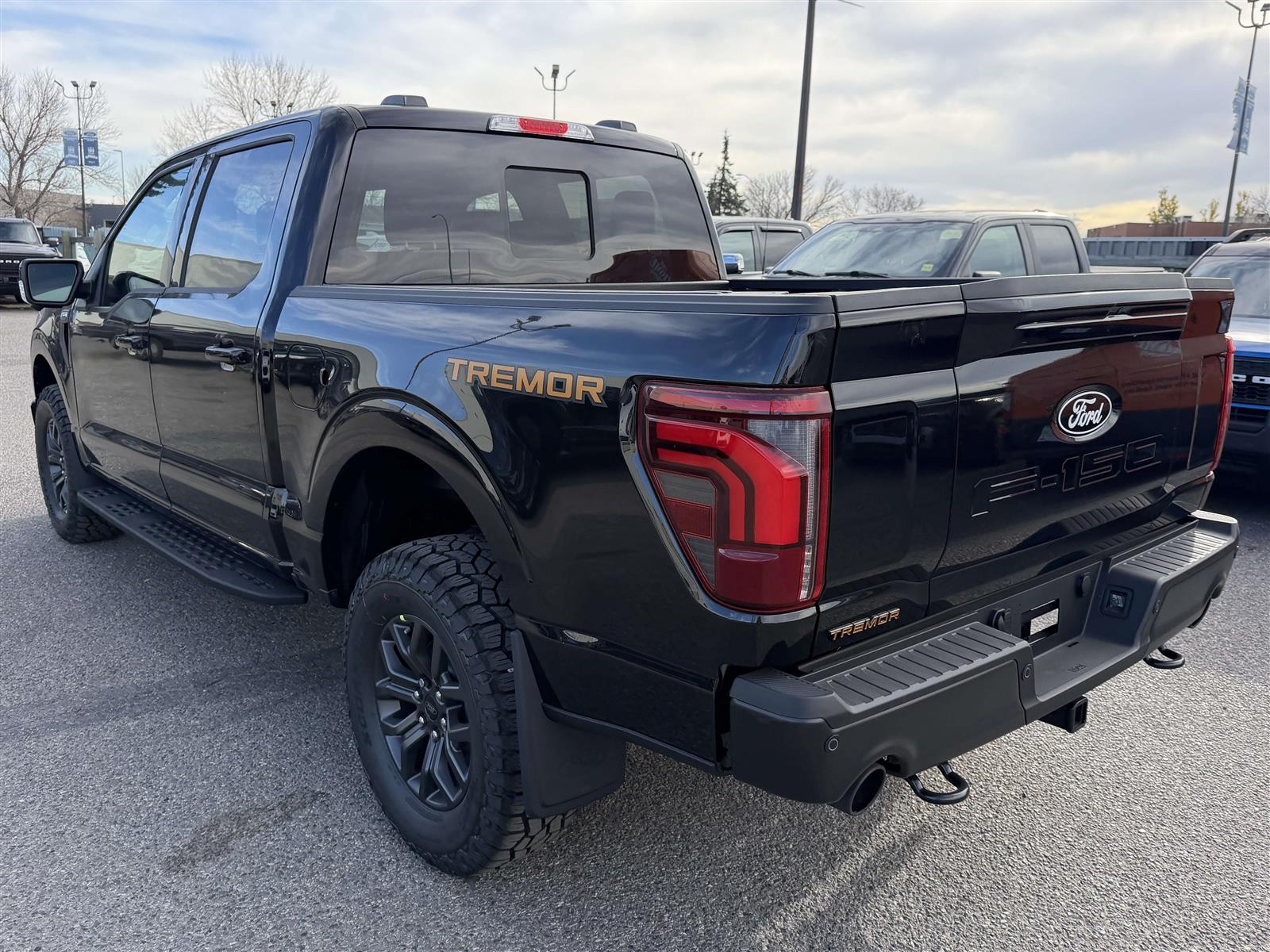 Ford F 150