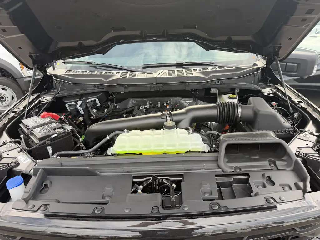 Ford F 150